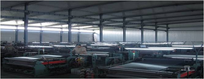 39725827_524129601373143_4885096120297979904_n